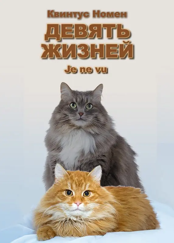 Обложка книги
