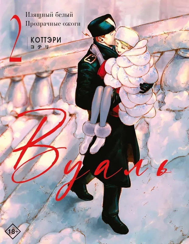 Обложка книги 
