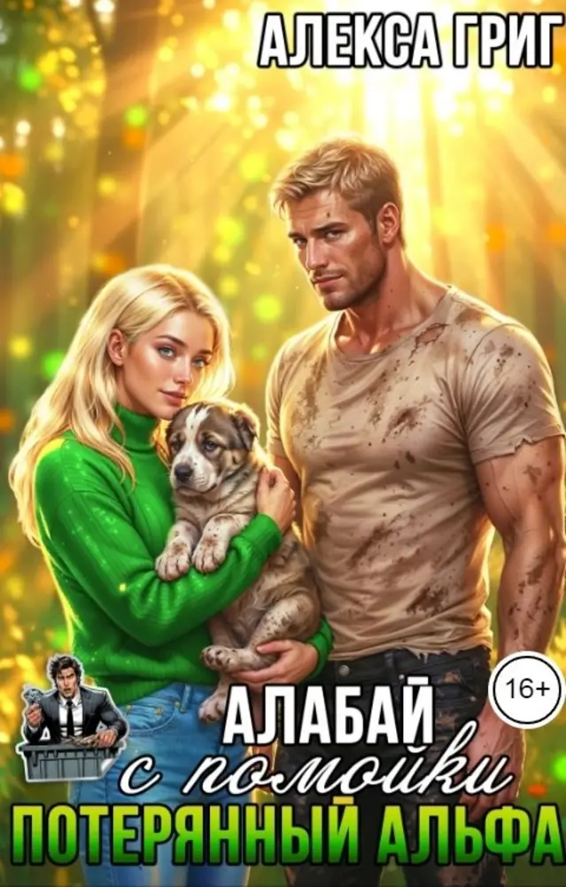 Обложка книги 