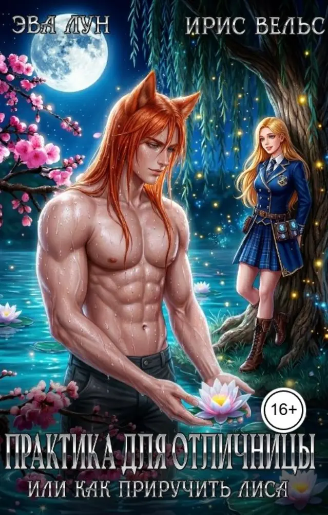 Обложка книги 