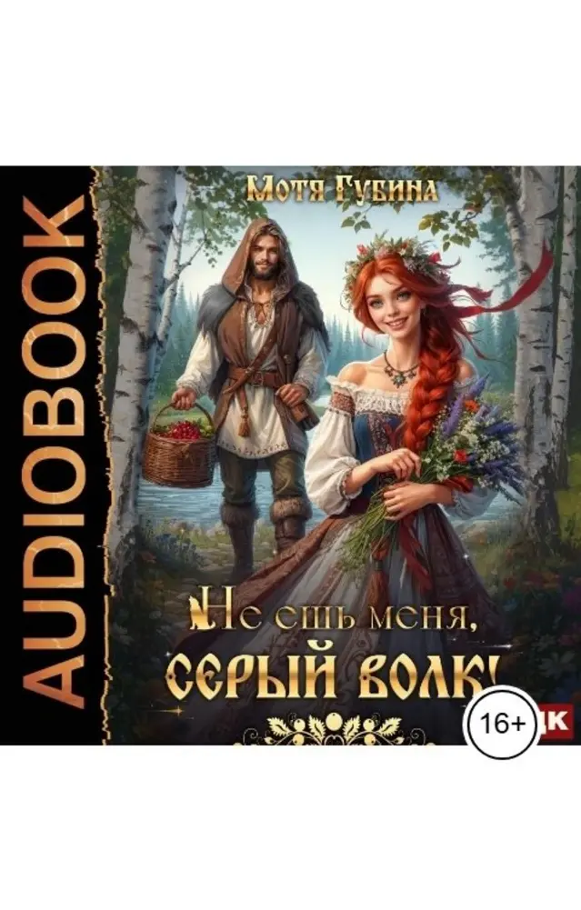 Обложка книги 