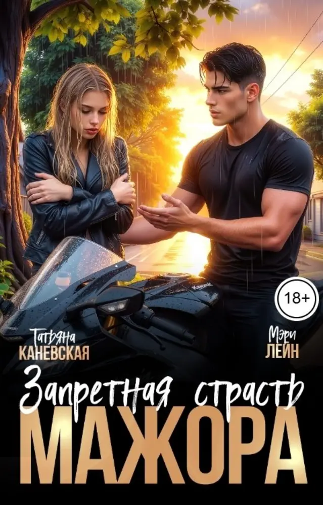 Обложка книги 