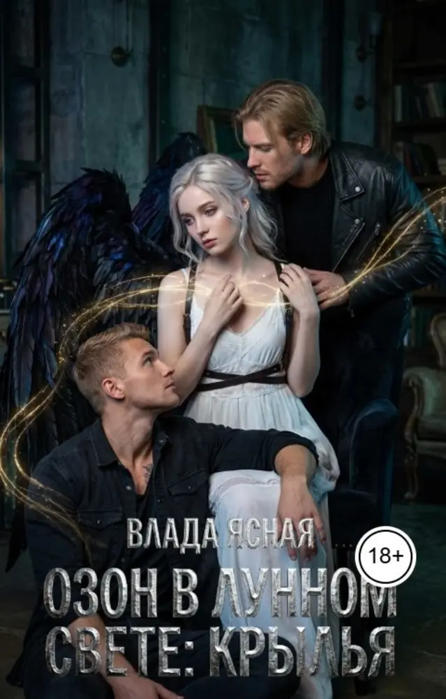 Обложка книги 