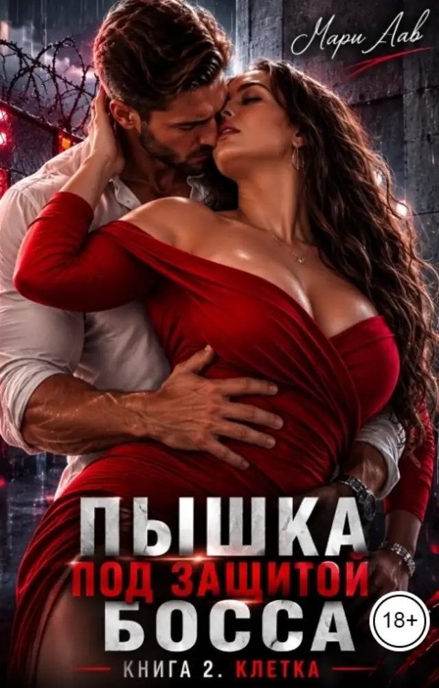 Обложка книги