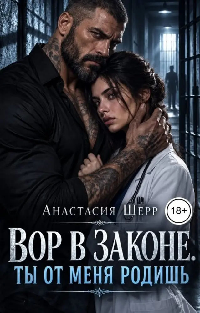 Обложка книги 