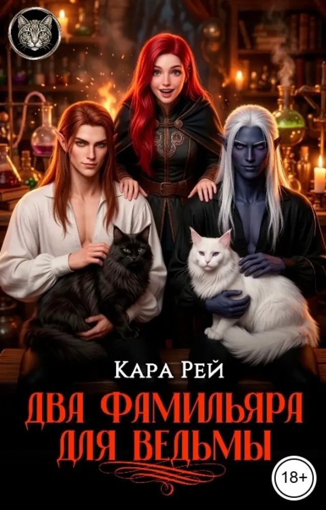 Обложка книги 