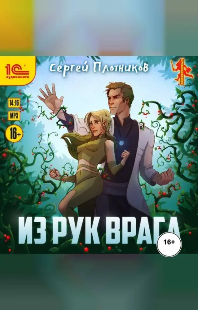 Обложка книги 