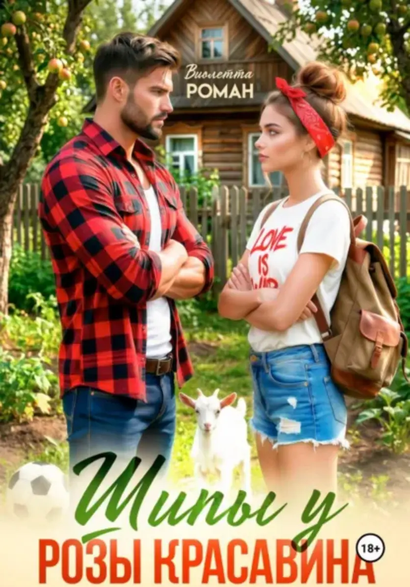 Обложка книги 