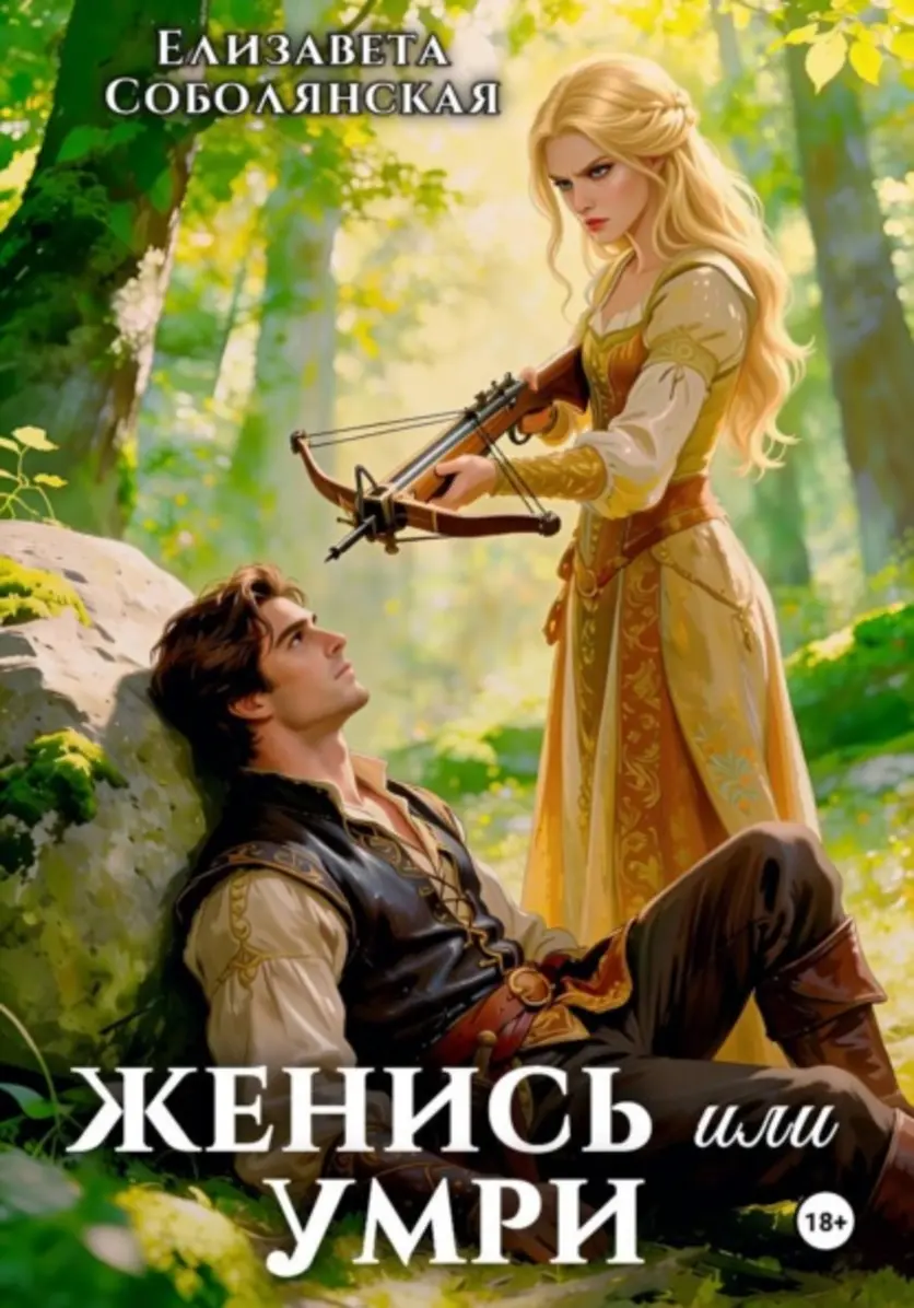 Обложка книги 