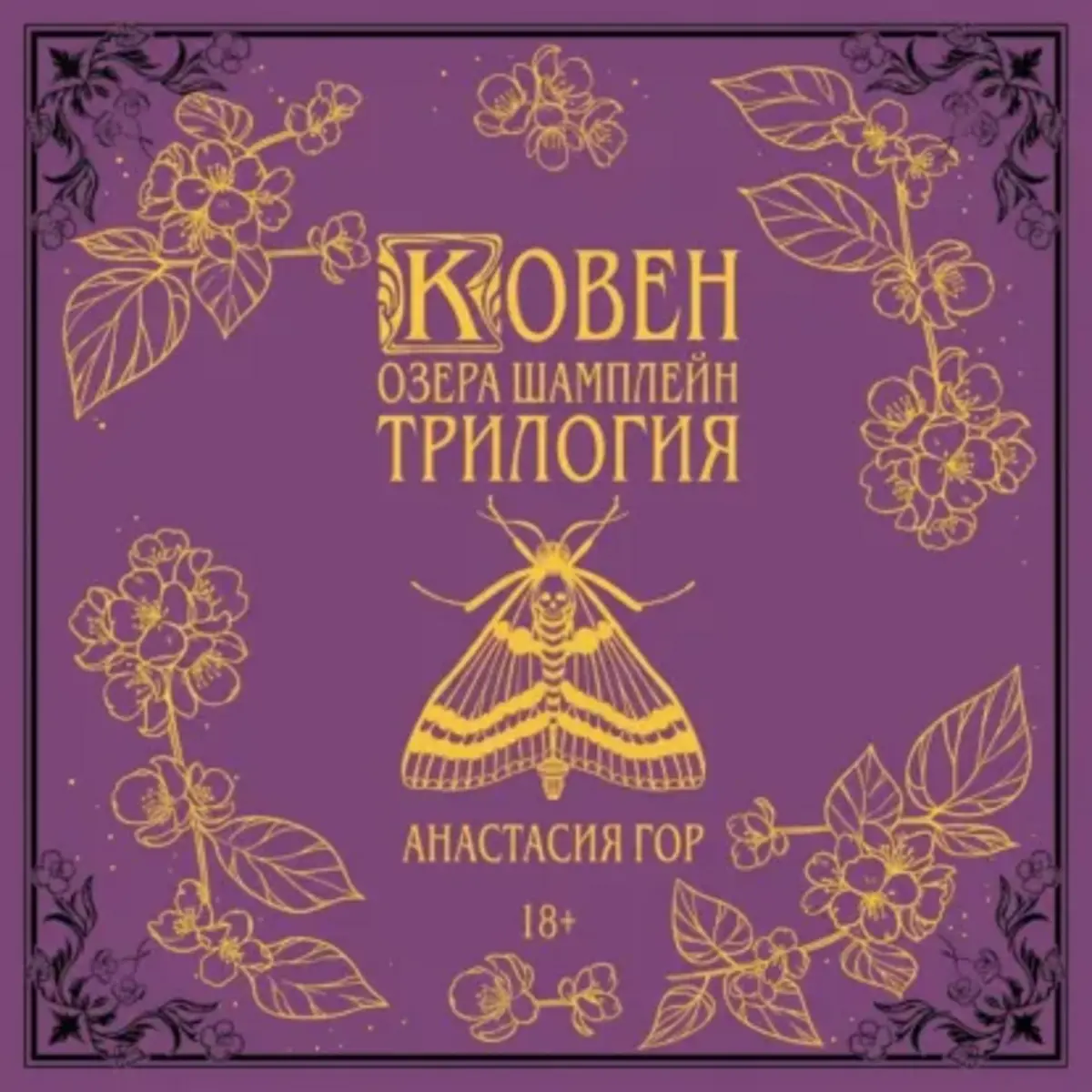 Обложка книги 